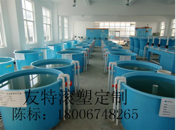 友特厂家直销3.2米塑料船/3.2米莲藕采摘船/鱼塘养殖专用船