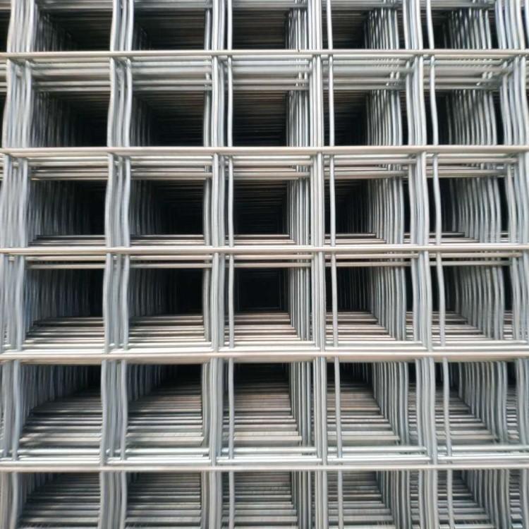 镀锌建筑网片 养殖苗床网厂家直销大量现货