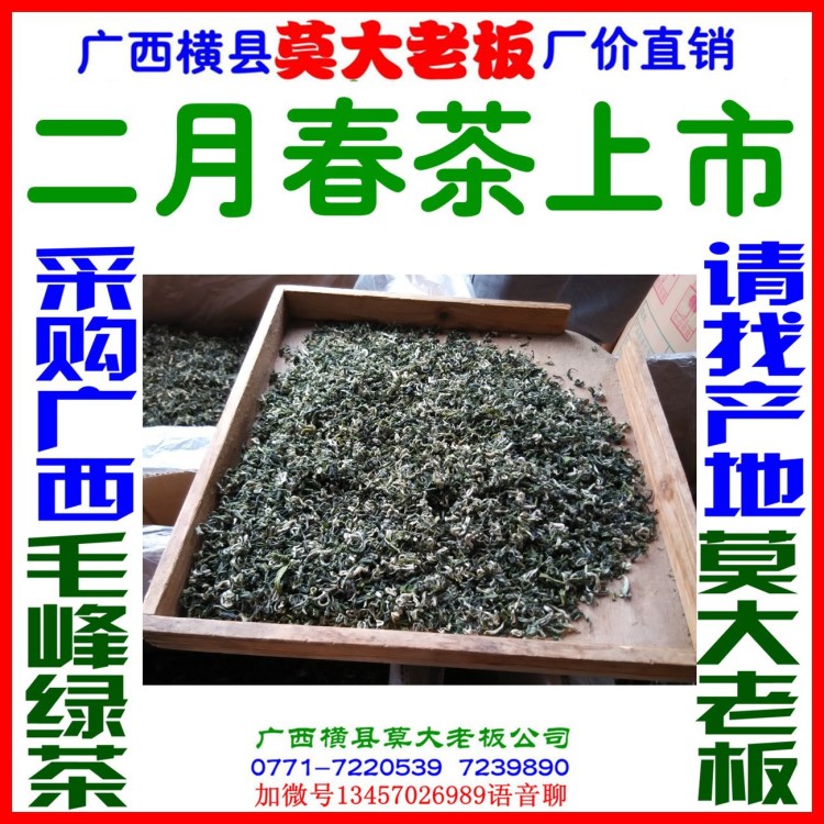 批发广西绿茶春茶毛峰 2月春茶就上市 湖南永州茶叶特产市场