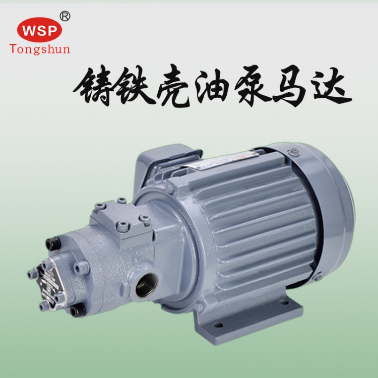 TOP-206HB 380V 液压油齿轮泵  三角马达配套油泵电机组 400W WSP