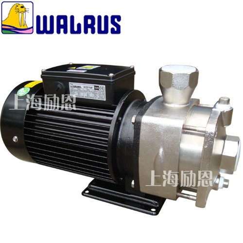 WALRUS PUMP TPH50T2KNF 台湾华乐士水泵