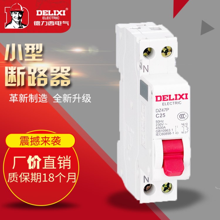 DZ47P 1P+N 德力西 一极两线 断路器  漏电保护 替代CDB3旧款