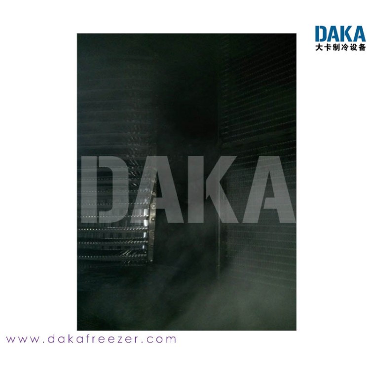 DAKA厂家直销 牛肉丸速冻库  冻结库 食品速冻加工设备 螺杆机组