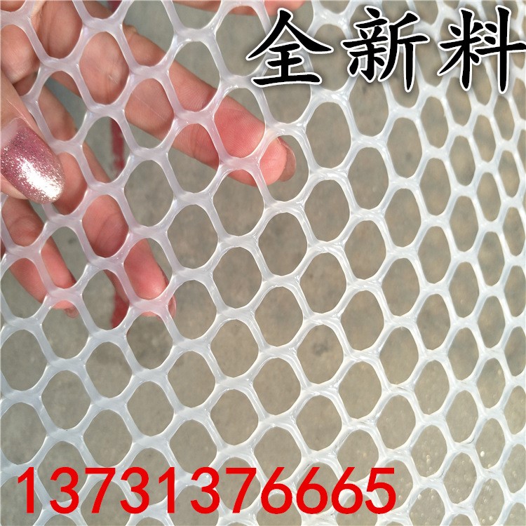鸡舍垫底塑料网 塑胶网 养鸡育雏塑料网 鸡笼塑料垫底网