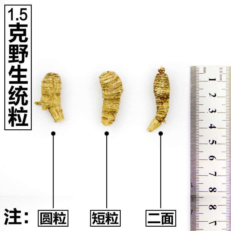 美国野山花旗参统粒花旗参统粒头圆粒短粒二面粒规格货装礼盒