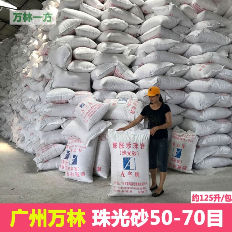 广州厂家直销50-70目膨胀珍珠岩珠光砂 洗手砂洗手粉空分装置回填