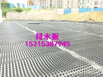 供应地下车库排水板30mm天津排水板厂家直销