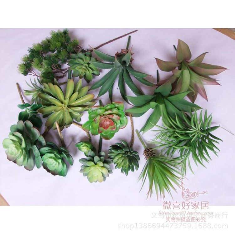 仿真多肉植物沙漠雪莲花仙人掌塑料花仙人球微景观植物墙