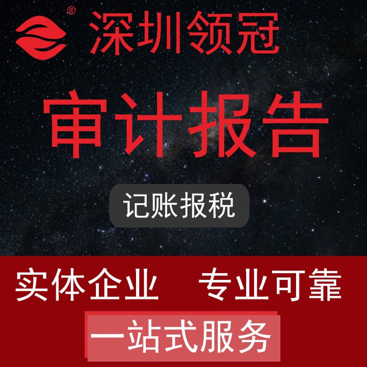 审计报告  审计报告代做资产评估报告 审计报告专项年审