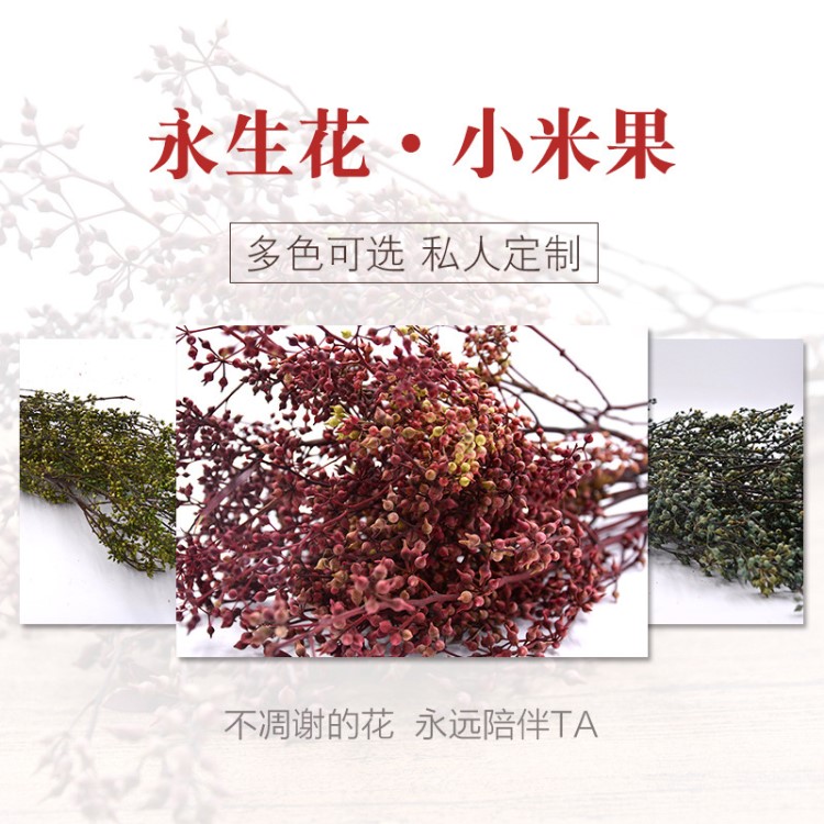 永生花小米果干花仿真花花材批发diy 厂家直销干花仿真花保鲜花