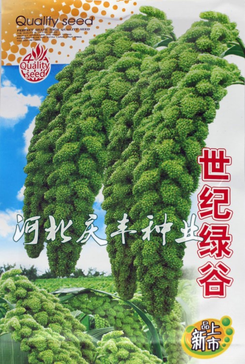 白谷 黑谷绿谷 红谷子种子小米种 糯米种子春播季 非转基因绿小米