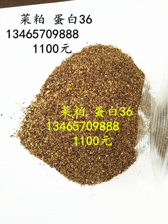 低价销售育肥饲料原料代替豆粕 性价比高 玉米DDGS 酒精糟