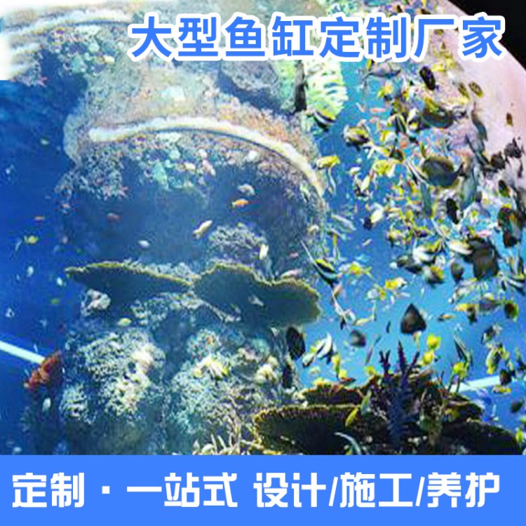 厂家订做亚克力鱼缸 有机玻璃观赏水族箱 水族馆圆柱形大鱼缸定做