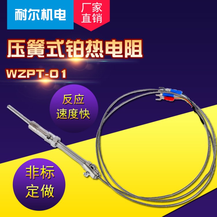 压簧式铂热电阻WZPT-01温度传感器PT100金属屏蔽线非标定做