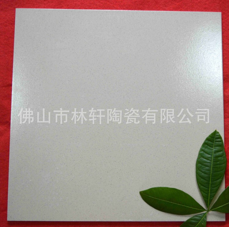 佛山瓷砖地面耐磨砖卫浴场所地板砖家居装修地面砖瓷砖批发