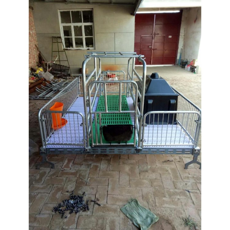 母猪产床单体猪产床双体产床母猪定位栏限位栏仔猪猪产床养猪设备
