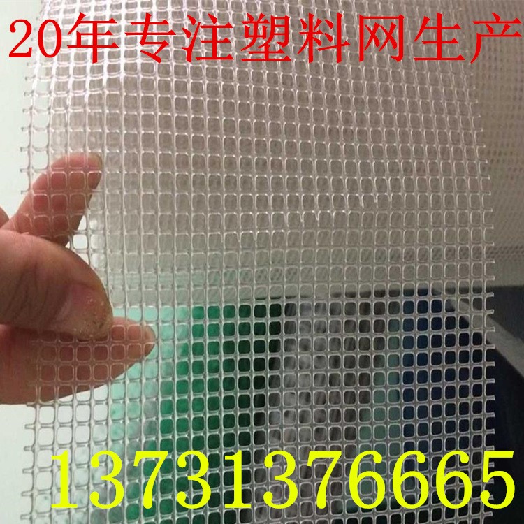 生产 小眼方孔塑料网  塑料过滤网 方孔滤芯塑料网 规格