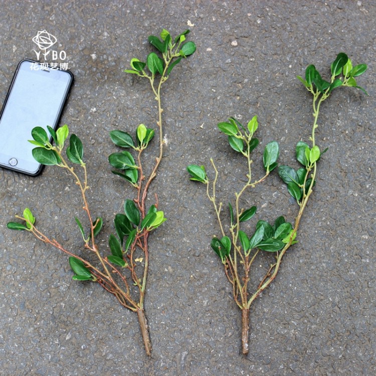 仿真植物叶子树叶 手感苹果叶 插花绿色假花 花现艺博瓶花