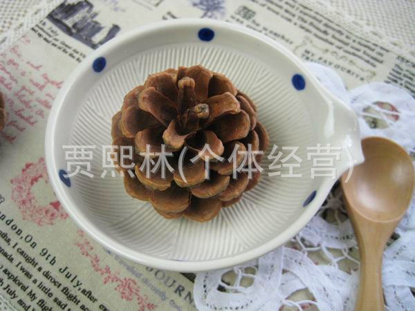 天然松果 东北油松 ZAKKA小摆设 家居饰品 干花材料拍摄道具