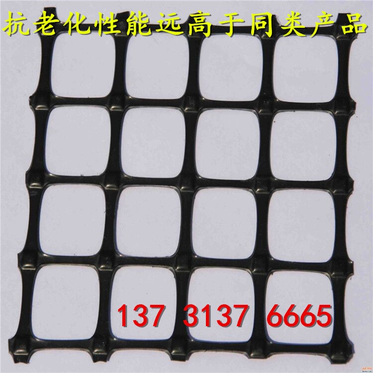 厂家生产 供应 煤矿用黑色方格网 黑色方孔网 规格 可定制