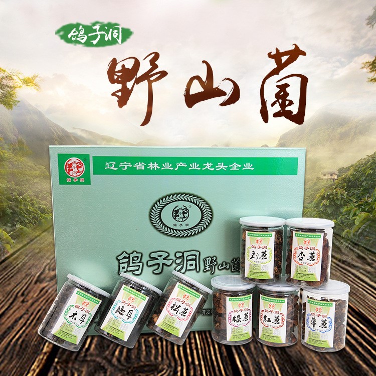 东北鸽子洞野山菌 干货食用菌六合一60gx8罐礼盒装