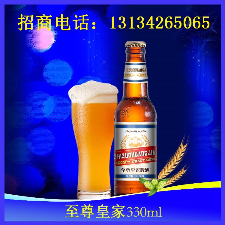 12度小棕瓶啤酒代理/330毫升夜店啤酒新品加盟朔州/阳泉