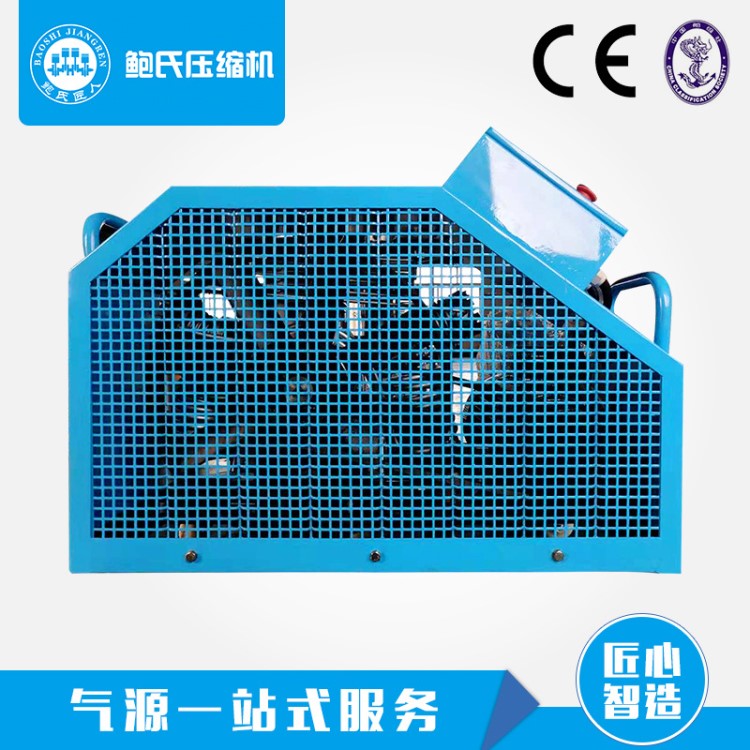 2个气瓶打气机空压机 压力20-30兆帕 潜水呼吸海洋救援泵打气机