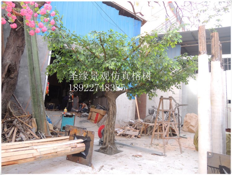 仿真榕树大型绿植橱窗陈列道具婚纱影楼背景装饰家居摆放工程榕树