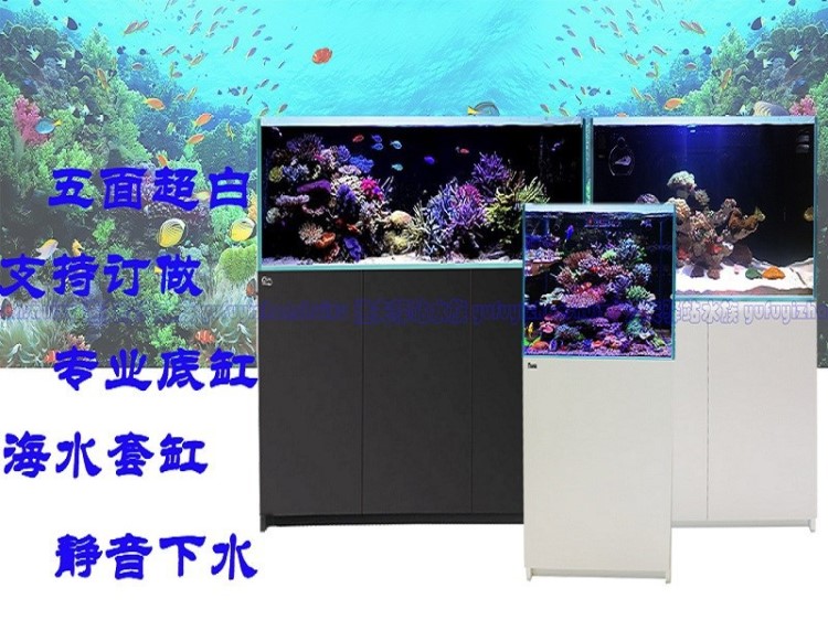 水族箱海水鱼缸珊瑚金晶超白玻璃屏风底柜客厅红海定做实木