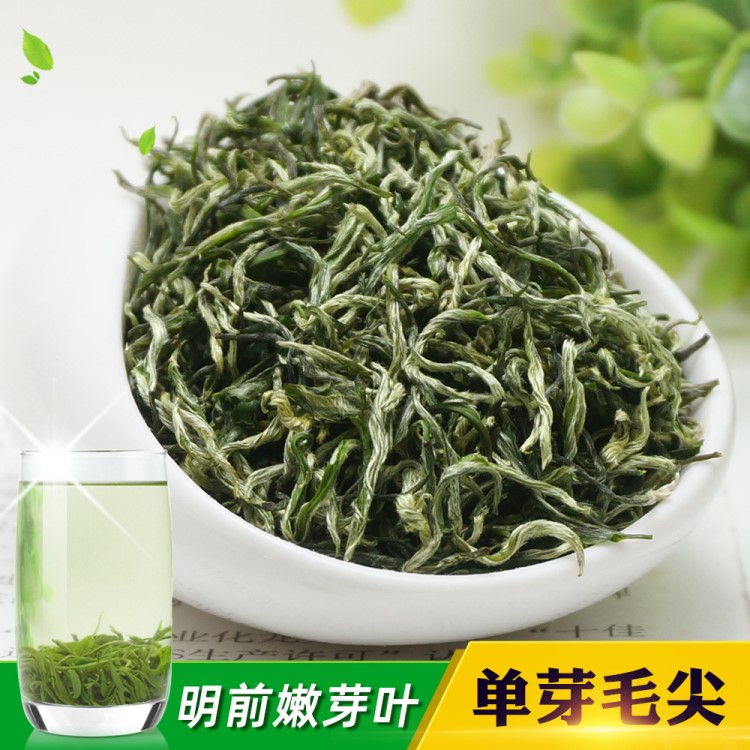 2019年新茶 单芽毛尖 明前头春 形似湘西黄金茶 毛峰茶叶厂家批发