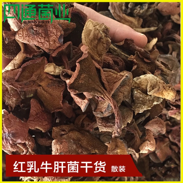 云南高原特产散装红乳牛肝菌 干货四通菌业干货野生牛肝菌