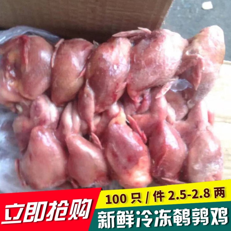 鹌鹑 白条鹌鹑 鹌鹑鸟 冷冻活杀鹌鹑肉鹌鹑仔 生肉制品1箱100只