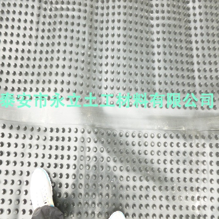 天津30厚排水板价格，排水板型号