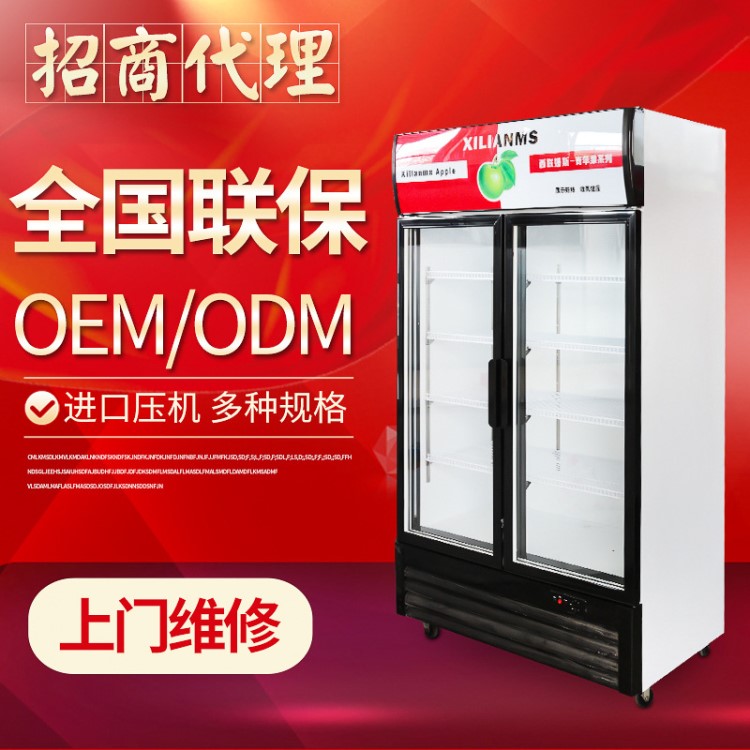 西联姆斯饮料展示柜 双开门立式冷藏柜 OEM定制商用饮品保鲜柜