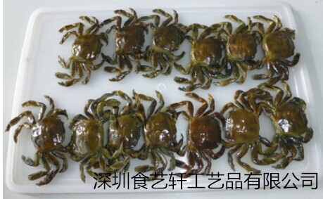 仿真海鲜小螃蟹模型 树脂塑料模型工艺品 餐饮酒店精美摆饰