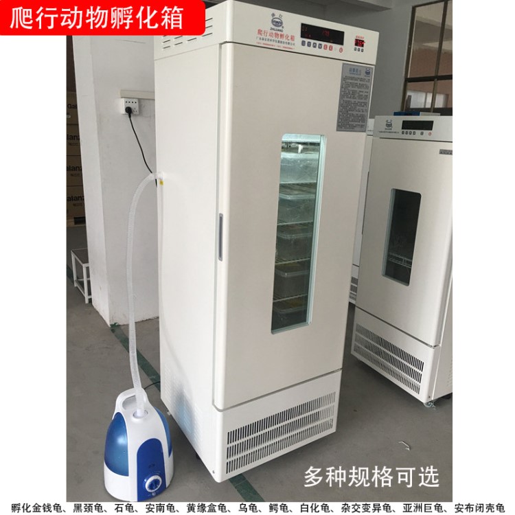 珠江牌 FHX-400 控温控湿爬行动物孵化箱 400升龟鳖乌龟孵化箱