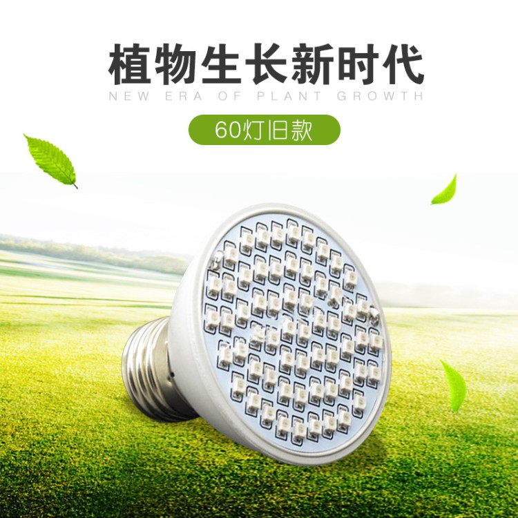 E27 3528SMD植物生长灯 60LED40红+20蓝植物灯 4W育苗蔬菜补光灯