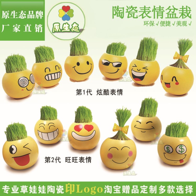 陶瓷表情 长草头娃娃 DIY室内小植物 摆摊 学生礼品广告印logo