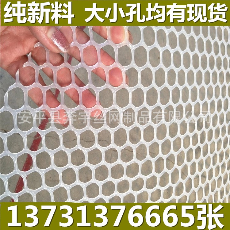全新白色塑胶网片 养殖白色塑料网 菱形小孔养鸡塑料网现货供应