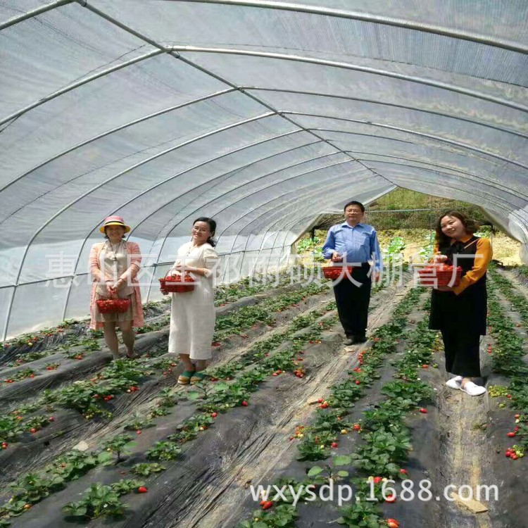 江苏无锡大棚管 大棚钢架结构 养殖大棚骨架  草莓大棚配件