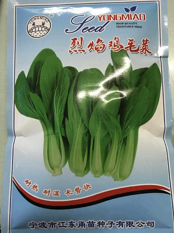 甬苗种业精品种子 烈焰鸡毛菜种子 四季种小青菜 青梗菜 小菜种子