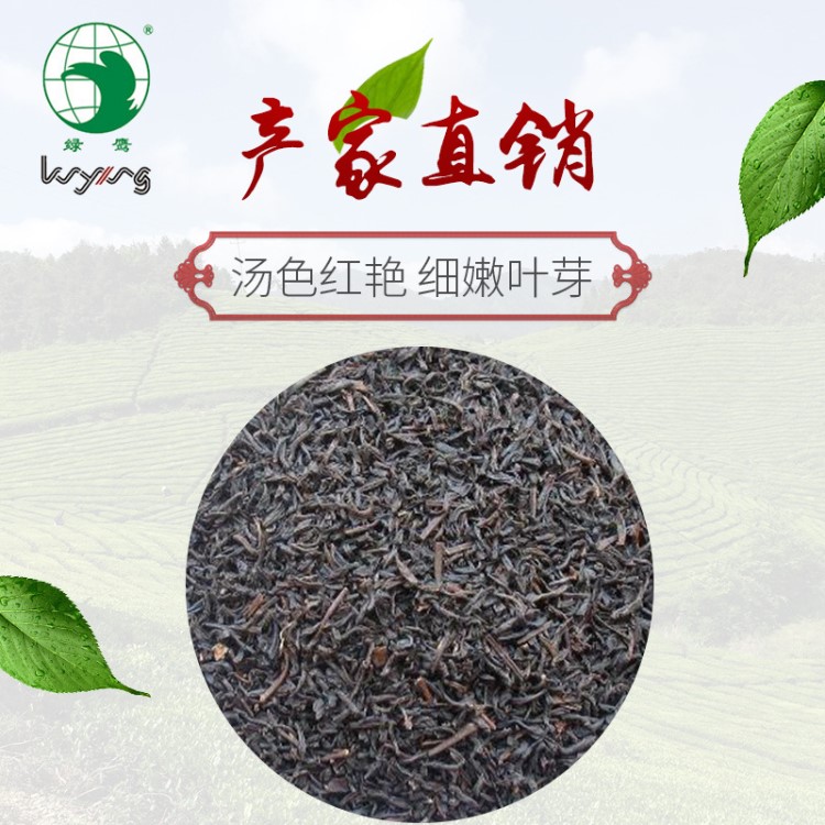 厂家批发供应红茶 明前西湖龙井 雨前茶叶新茶绿茶浙江绿鹰