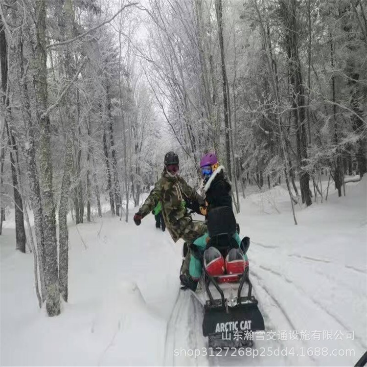 忽如一夜春风来，千树万树梨花开 150cc雪地摩托车