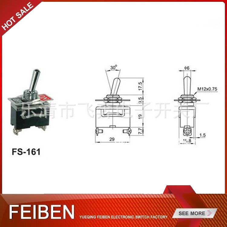 厂家批发 FS-161 中性钮子开关 钮子开关六档 钮子开关六脚