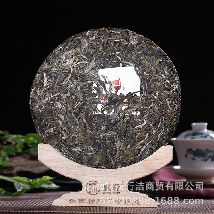 云南茶叶勐海古树普洱生茶 易武乔木七子饼茶 2019头春料普洱茶