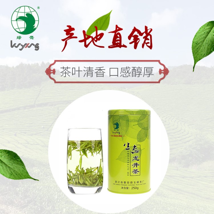 绿鹰 绿茶2019明前新茶 生态龙井茶高山茶铁罐包装全国包邮250g