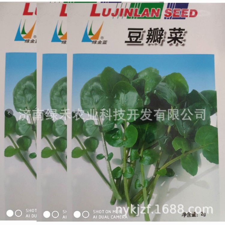 豆瓣菜种子 益脑菜 西洋菜 特菜 野菜种子 特种蔬菜种子 2克一袋