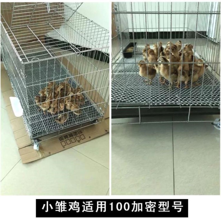 狗笼子小兔子巴哥犬宠物防漏小鸡防雨罩简易加粗猫笼折叠家禽中型