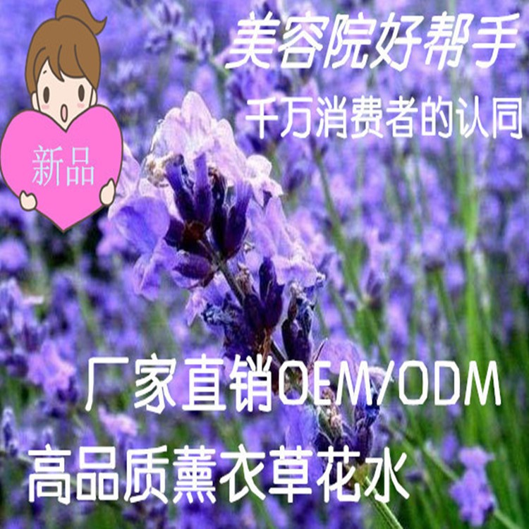 天然祛痘靓肤薰衣草露OEM代加工消印去暗疮活肤OEM厂家批发