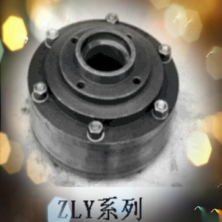 供应ZLY112滚柱式逆止器/ZLY125滚柱式逆止器/ZLY140滚柱式逆止器